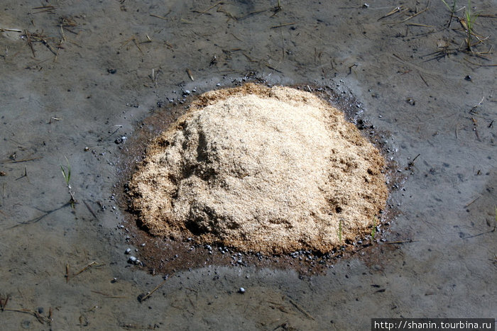 Сухой песок на мокром рисовом поле Банауэ Рисовые Террасы, Филиппины