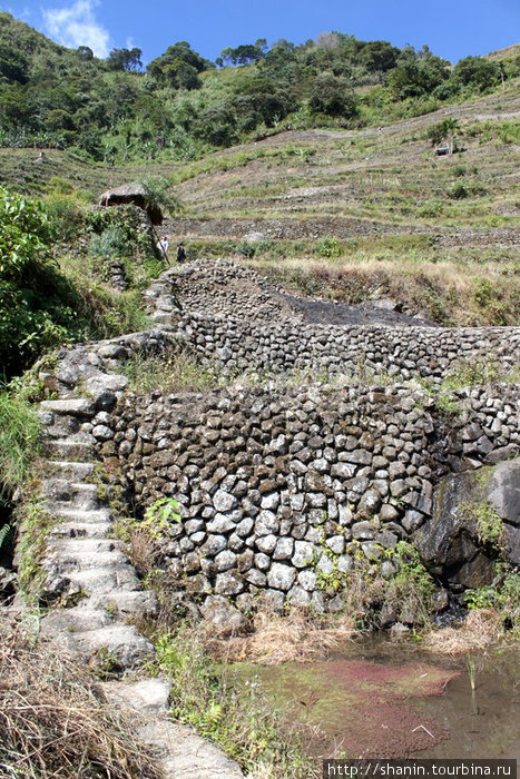 Каменные стенки и каменная лестница Банауэ Рисовые Террасы, Филиппины