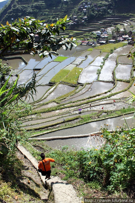 Перед спуском к рисовым террасам Банауэ Рисовые Террасы, Филиппины