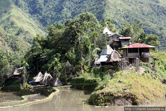 Дома и рисовые террасы Банауэ Рисовые Террасы, Филиппины