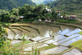 Рисовые террасы с водой
