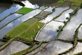Небо отражается в воде на рисовых террасах