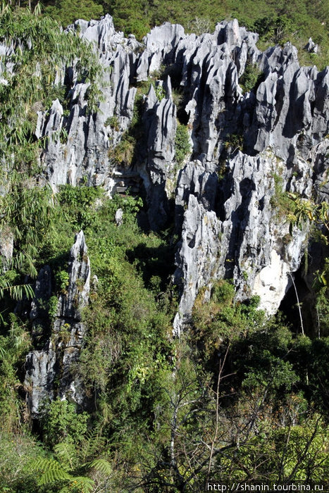 Пещера Висячих гробов в скалах Сагада, Филиппины