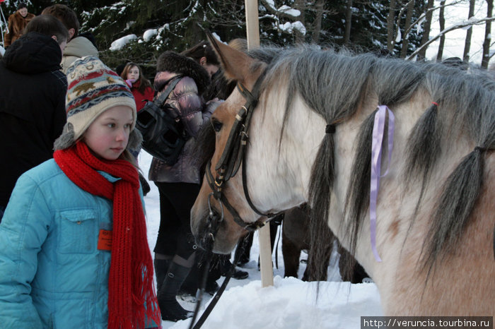 Девочка и лошадь. Павловск, Россия