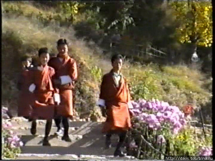 Около дзхонга Симтокха Тхимпху, Бутан