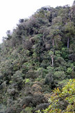 Нижняя часть склона горы Кота-Кинабалу заросла густым лесом