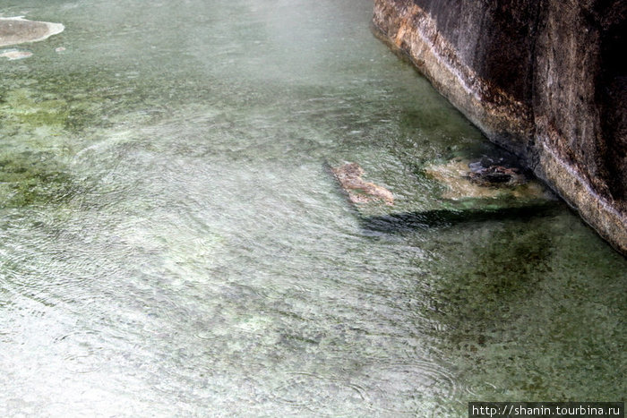 Очень горячая вода Кампонг-Поринг, Малайзия