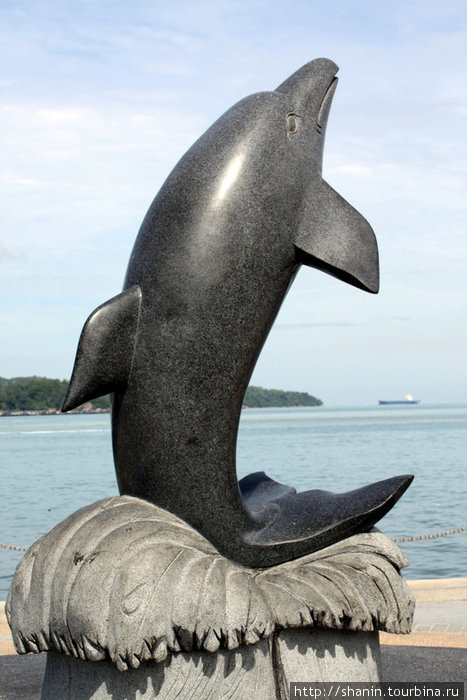 Каменный дельфин Кота-Кинабалу, Малайзия