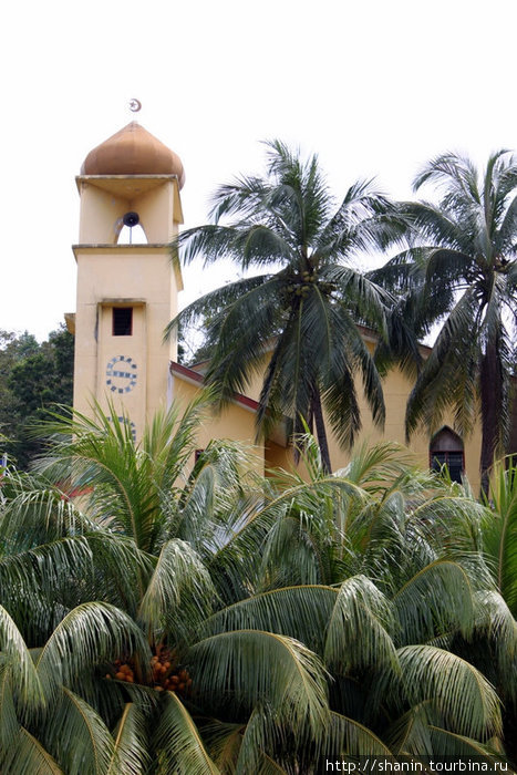 Мечеть среди пальм Кота-Кинабалу, Малайзия
