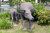 Скульптурная композиция — буйволы