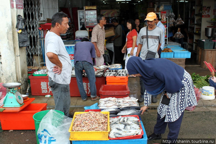 На рыбном рынке Кучинг, Малайзия