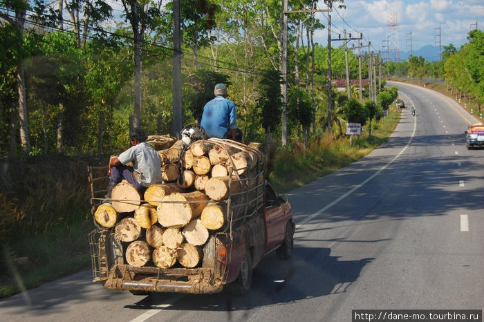 Лес везут на продажу Пханг-Нга, Таиланд