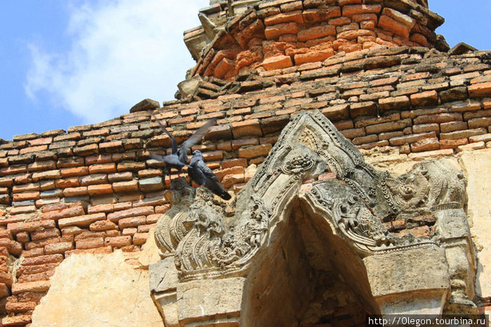 Голуби облюбовали древние камни Сукхотай, Таиланд