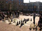 играют в шахматы