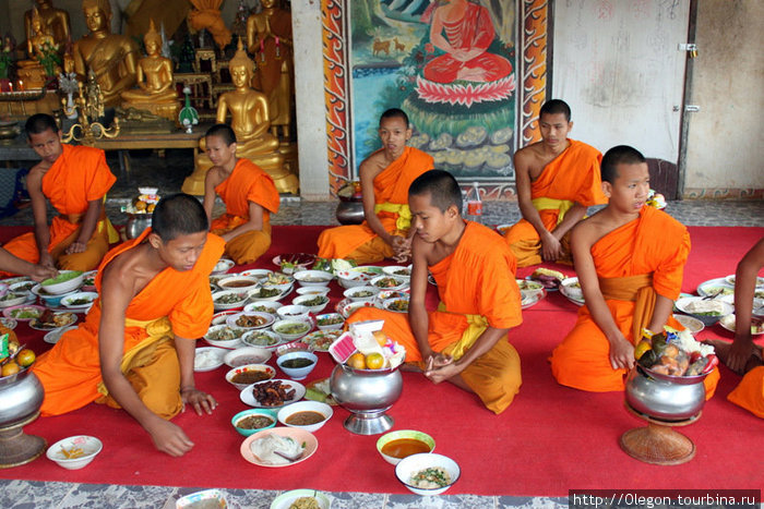 Монахи приглядывают, что там повкусней Таиланд