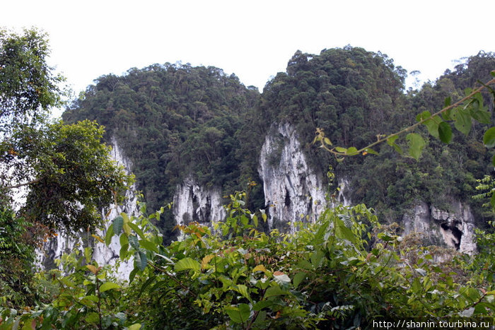 Пещеры в этих меловых горах Мири, Малайзия