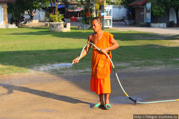 Монах освежает асвальт от жары Таиланд
