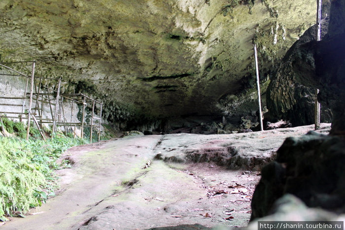 Пещера Мири, Малайзия