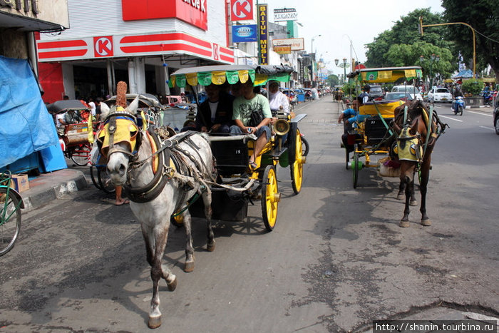 Гужевой транспорт на центральной улице Джокьякарта, Индонезия