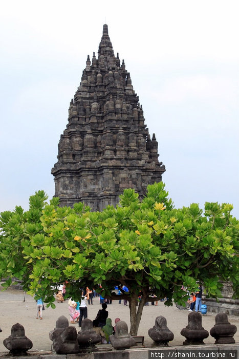 Дерево и каменная башня Джокьякарта, Индонезия
