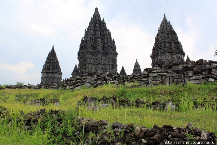 Зеленая трава и храмы Прамбанана Джокьякарта, Индонезия