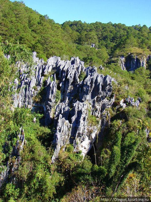 Острые скалы возвышаются меж деревьев Сагада, Филиппины