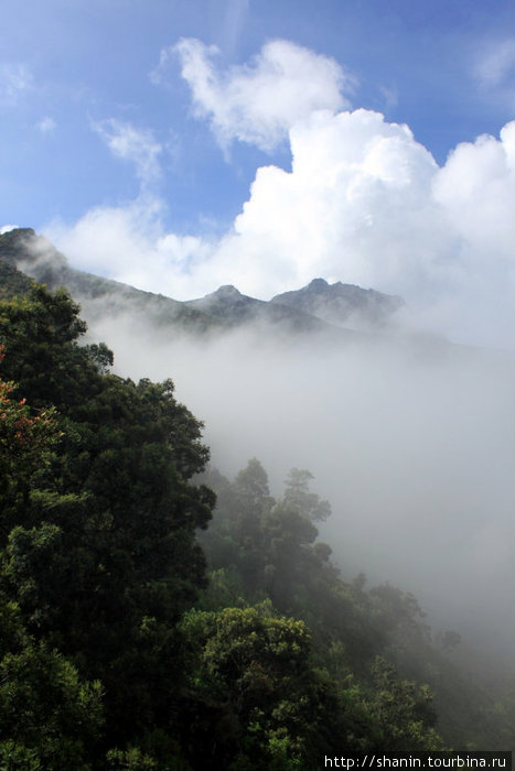 Горы в тумане Джокьякарта, Индонезия