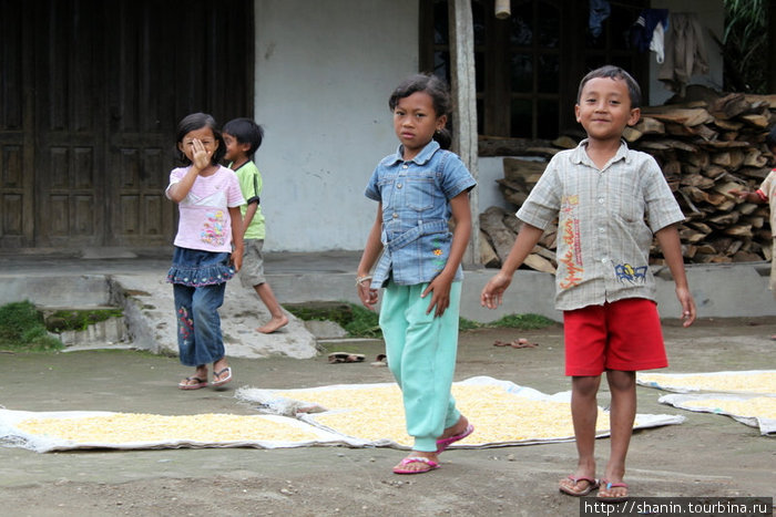 Индонезийские дети Джокьякарта, Индонезия