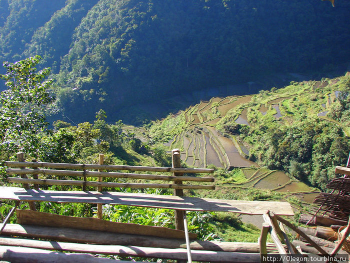Обрывы и внизу рисовые плантации Банауэ Рисовые Террасы, Филиппины