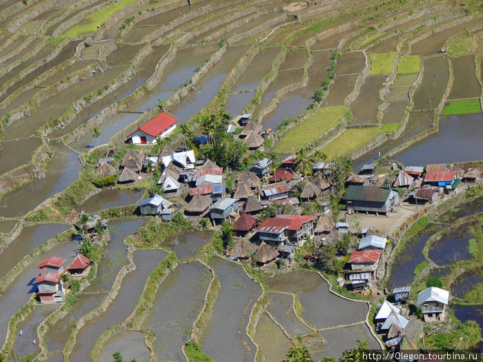 Средь рисовых полей раскинулась деревня Батад Банауэ Рисовые Террасы, Филиппины