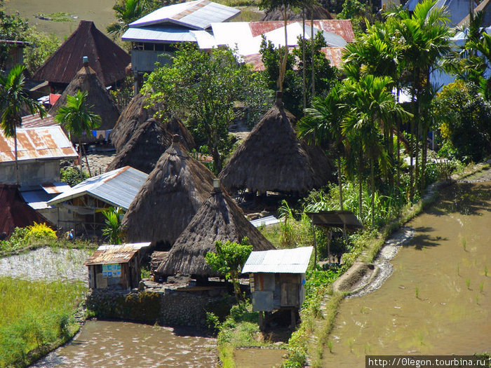Всё чаще соломенные крыши меняют на металические Банауэ Рисовые Террасы, Филиппины