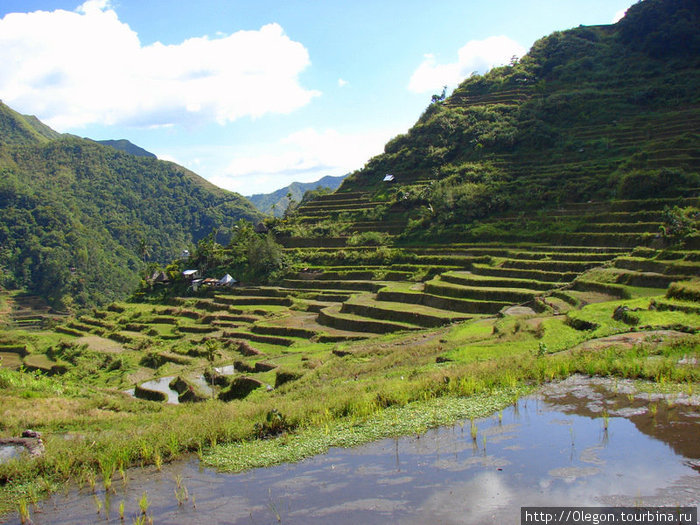 Рисовая деревня Банауэ Рисовые Террасы, Филиппины