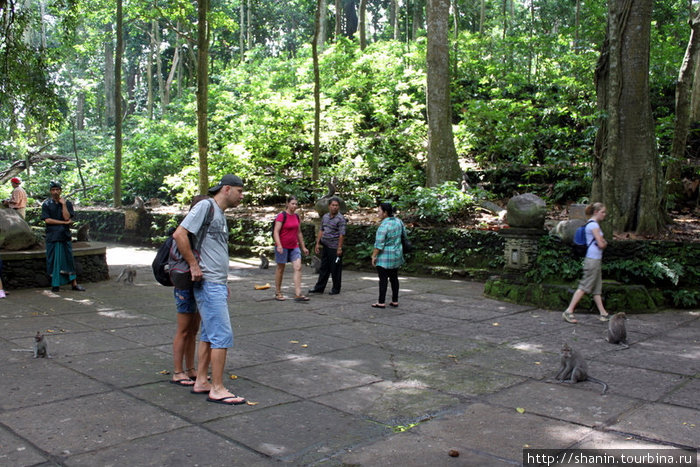 Туристы в парке Убуд, Индонезия