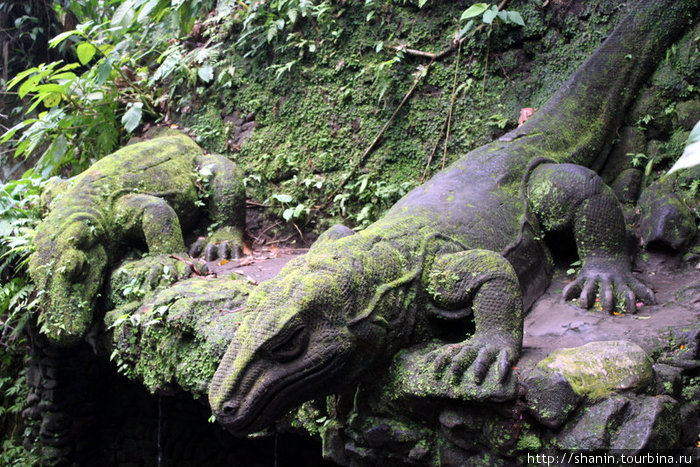 Каменные ящерицы Убуд, Индонезия