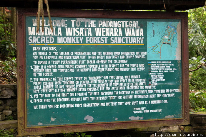 Правила поведения в Лесу обезьян Убуд, Индонезия