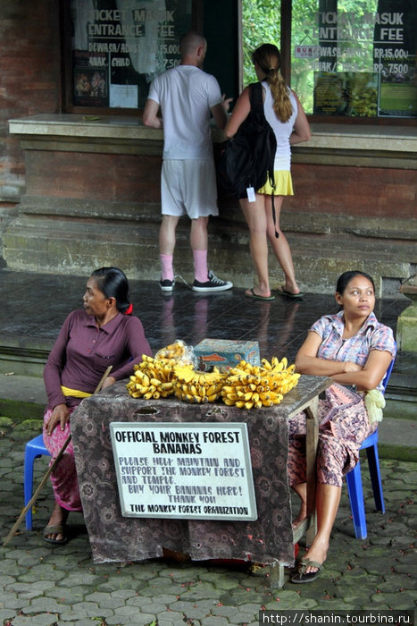 Официальные бананы — только ими и можно кормить обезьян Убуд, Индонезия