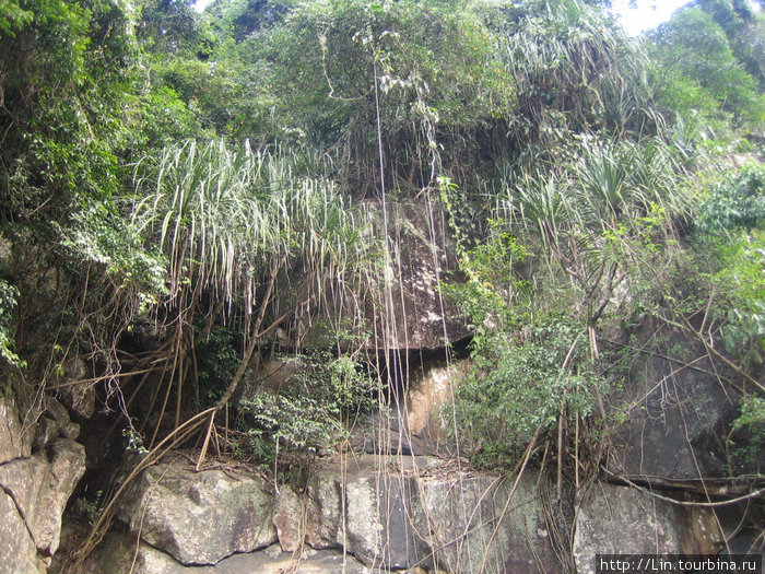 джунгли и водопады Нячанг, Вьетнам