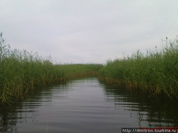 Рыбалка на Ладоге Шлиссельбург, Россия