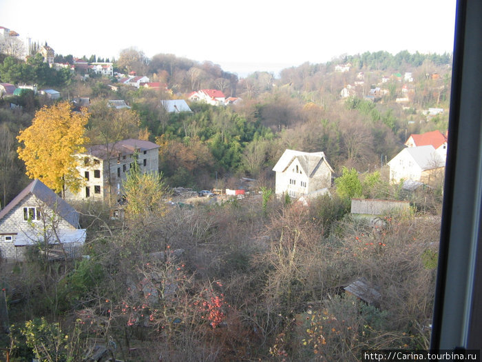 Сочи в декабре Сочи, Россия