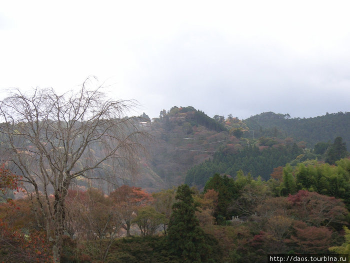 Ёсино. Сакура в ноябре Префектура Нара, Япония