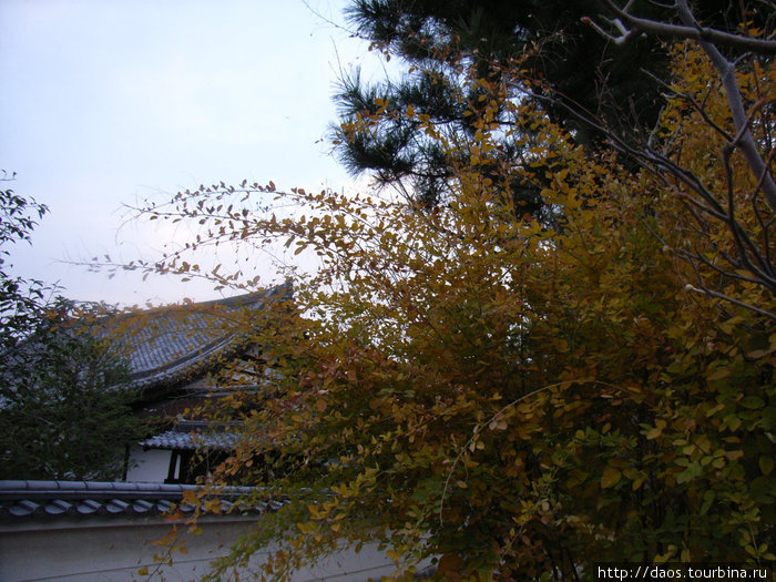 Удзи: Павильон Феникса - родина первого харакири Удзи, Япония