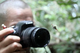 Фотографирование ядовитого паука дело ответственное