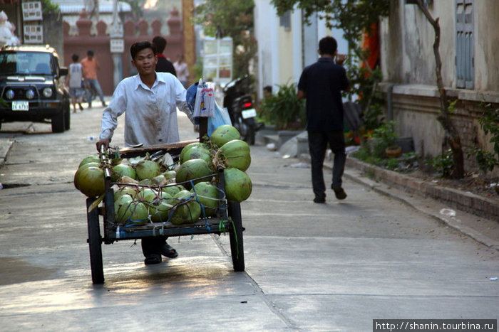 Кокосы на тележке Пномпень, Камбоджа