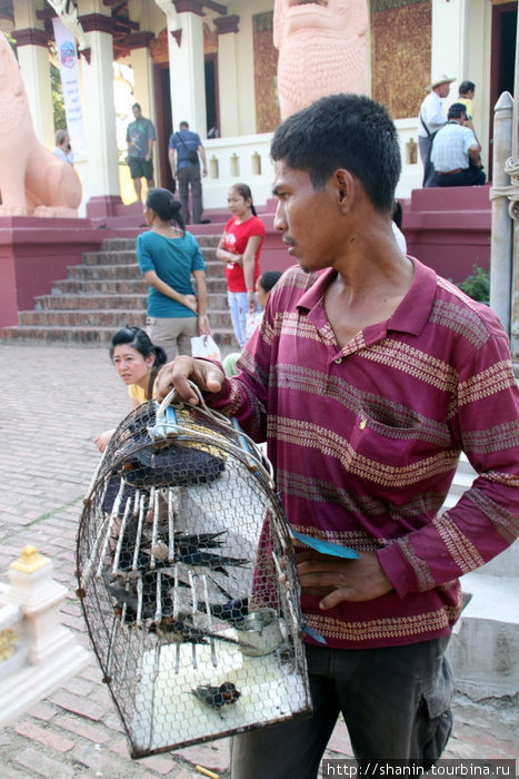 Торговец птицами Пномпень, Камбоджа