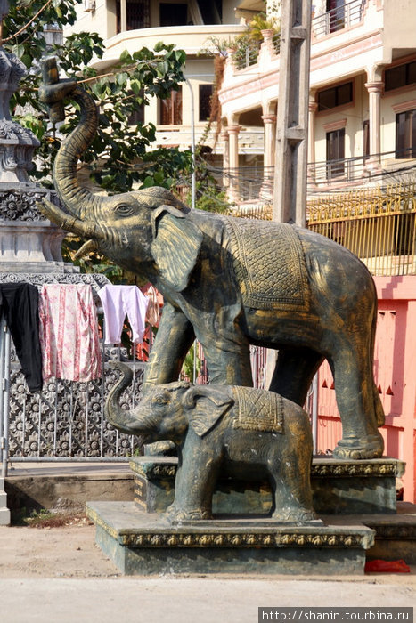 Два слона Пномпень, Камбоджа