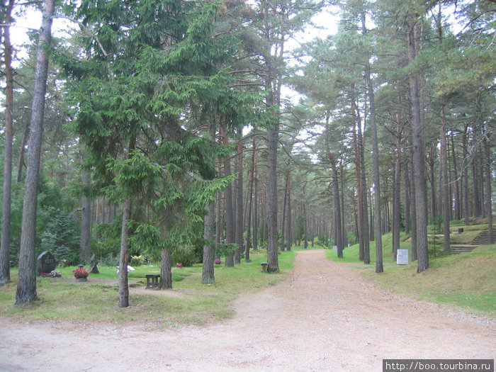 а это кладбище. очень красиво. Таллин, Эстония