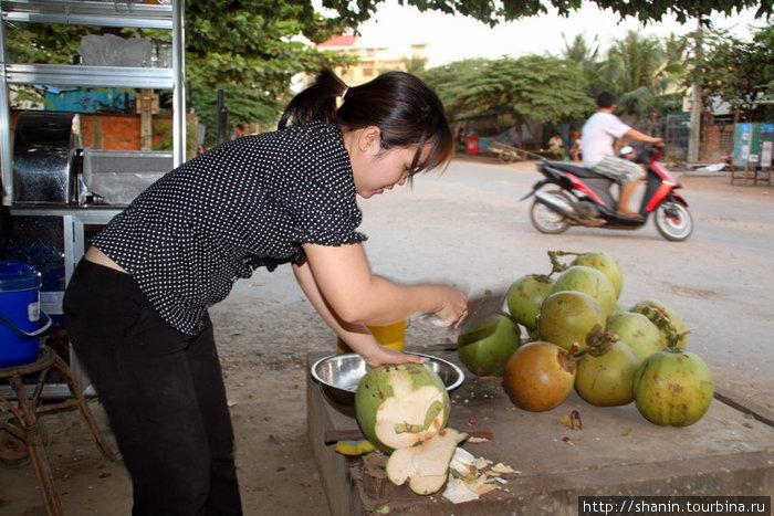 Кокос на продажу. Дешево и вкусно — сок плюс мякоть Камбоджа