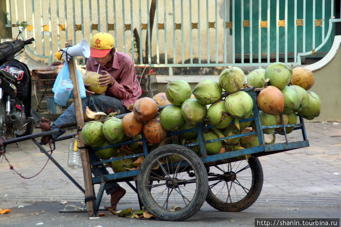 Торговец кокосами в ожидании клиентов Камбоджа