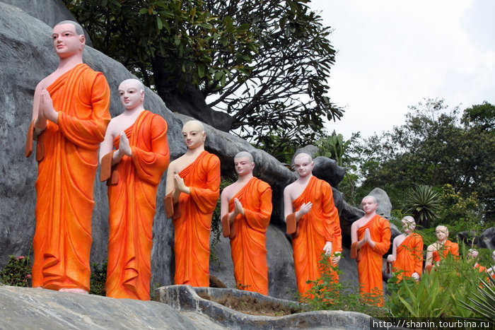 Монахи идут за подаянием Дамбулла, Шри-Ланка