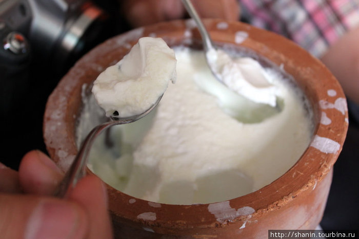 Йогурт из буйволиного молока Баттикалоа, Шри-Ланка